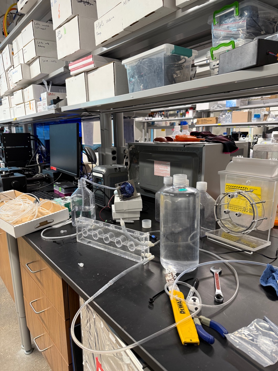 Lab workspace