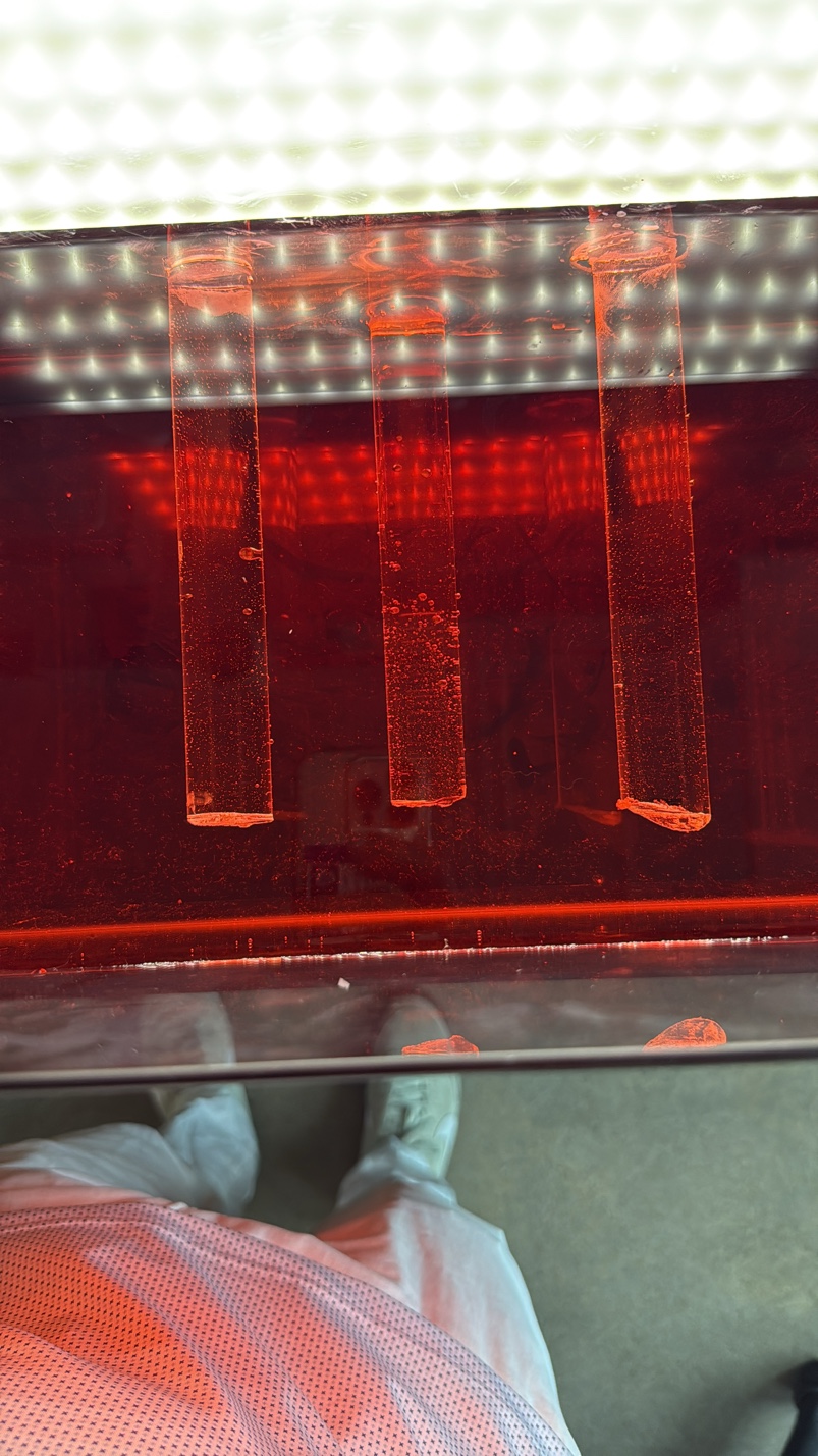 PBR with light-guide rods